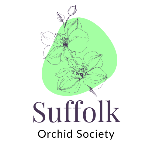 Suffolk Orchid Society